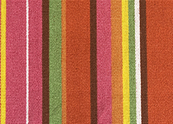 COTTON THIẾT KẾ IN 